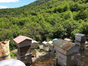 Lemasdeslucioles-visite d'un Rucher en Ardèche